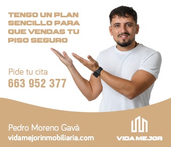 Vida Mejor Inmobiliaria